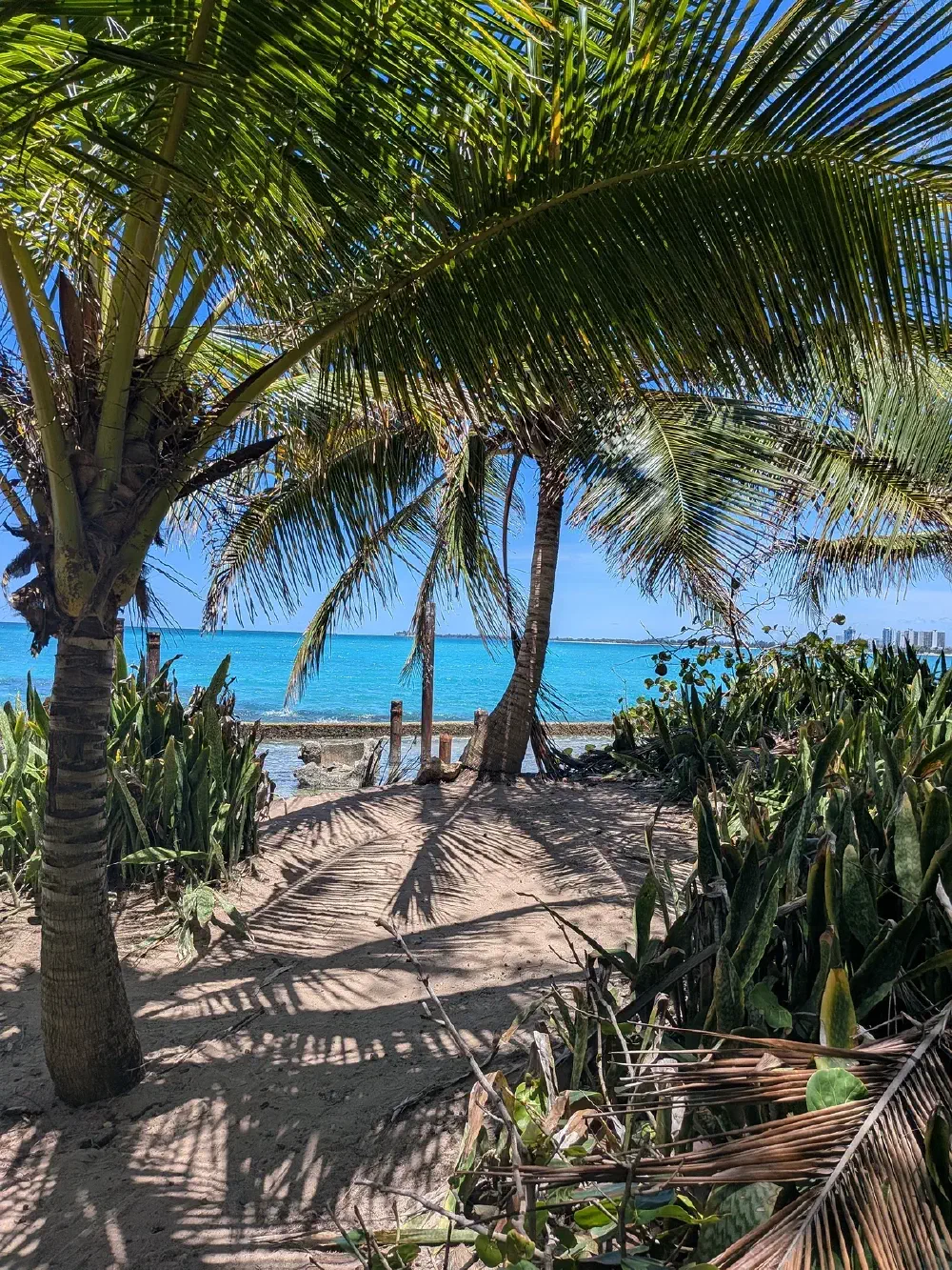 Out east by the skate park, right on the beach