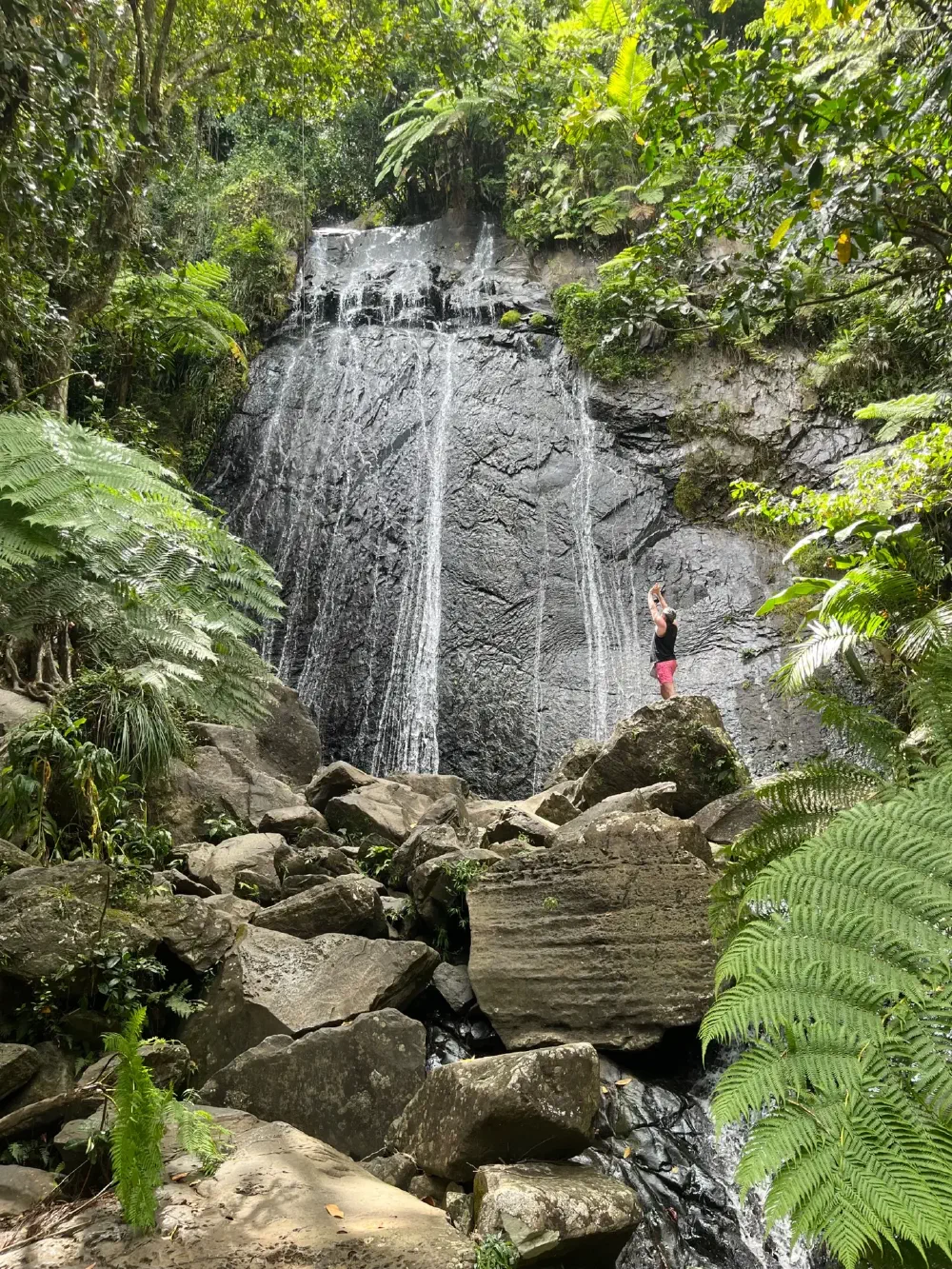 Waterfall deep in the rainforest