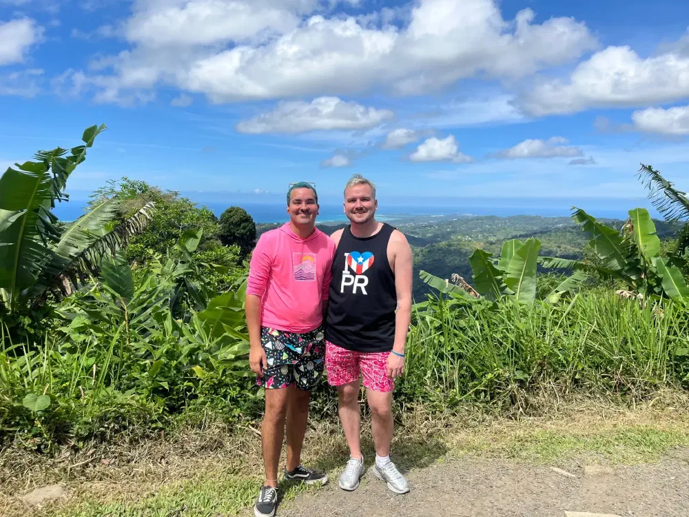 Scenic overlook with tropical foliage