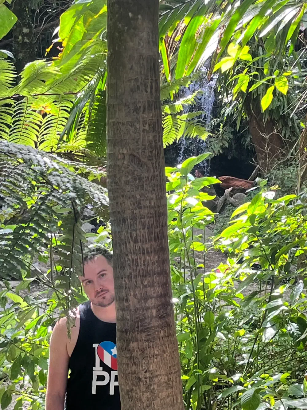 Leaning against a thick tree trunk on the rainforest trail