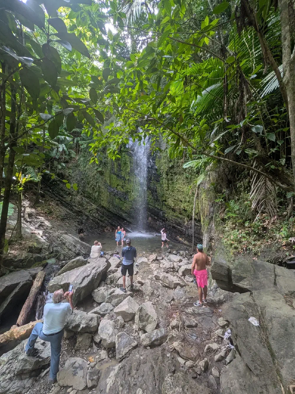 Waterfall pool with swimmers