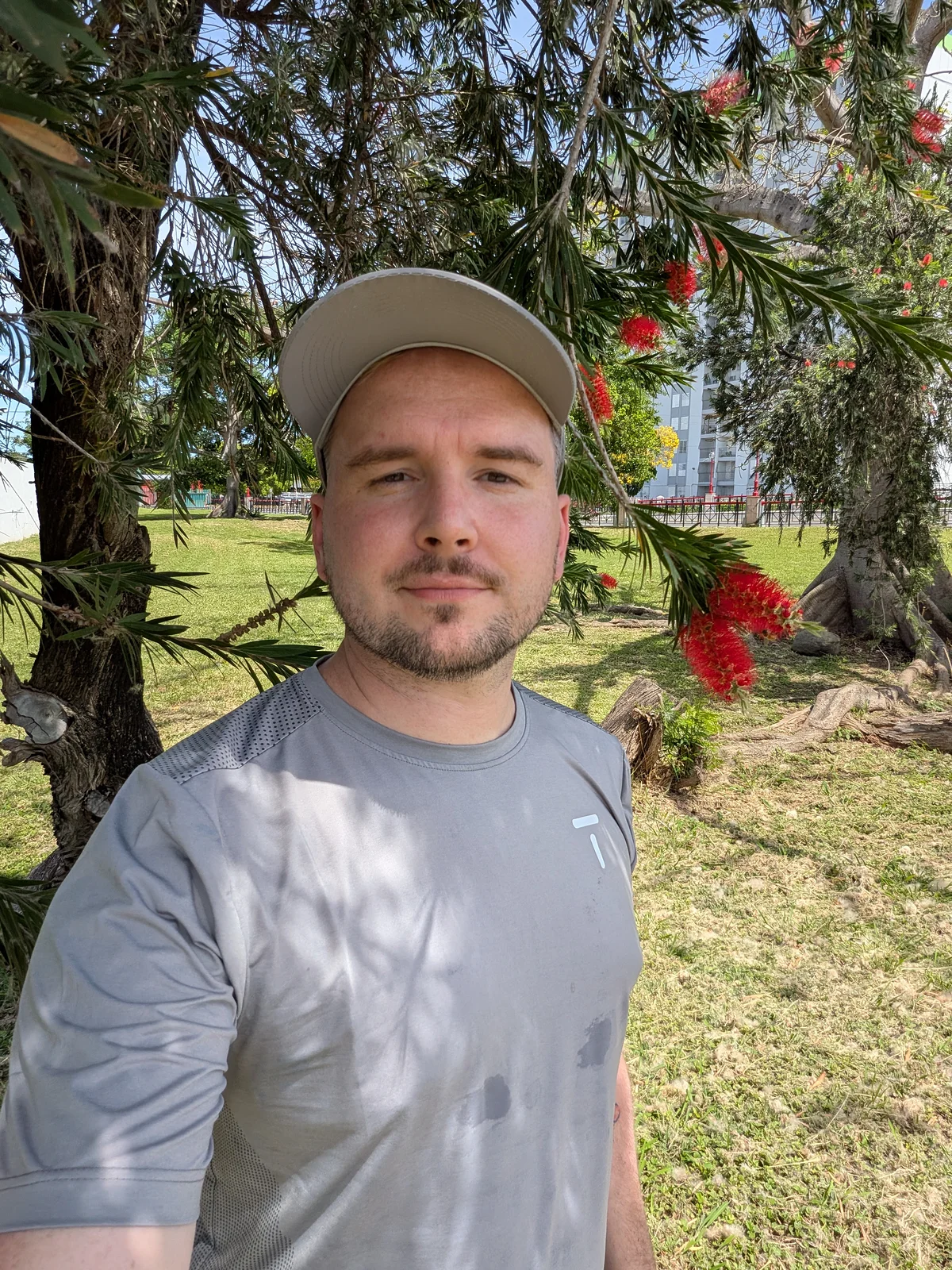 Under the flowering tree in the park