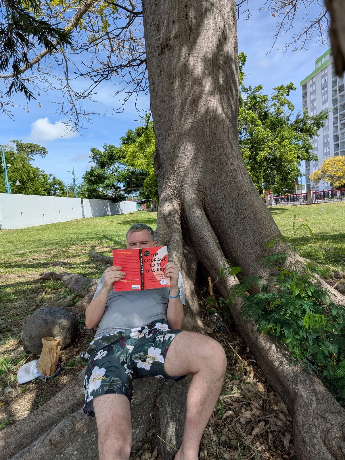 Reading Courage to Be Disliked under the massive tree