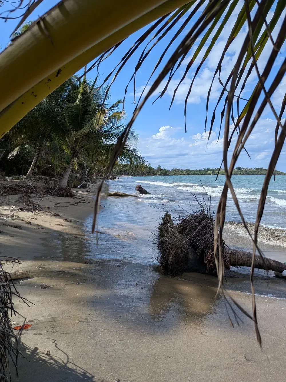 Beach shores