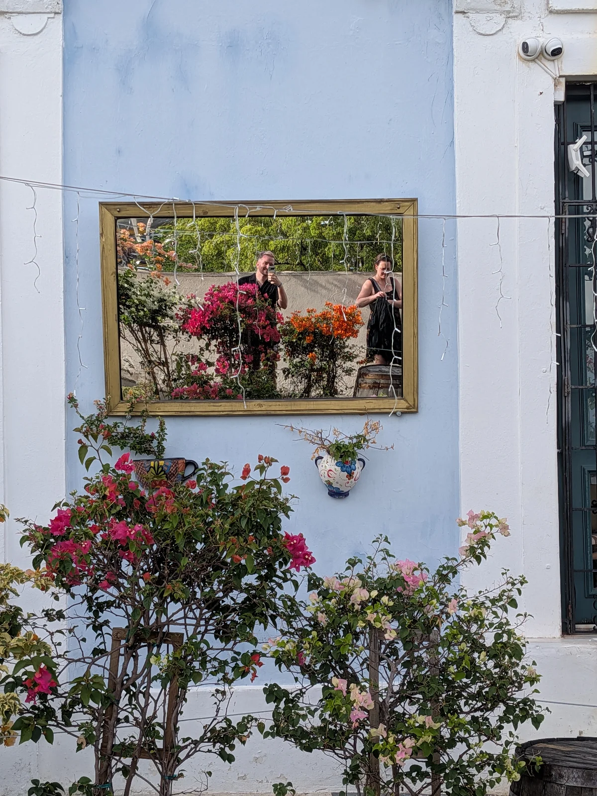 Blue wall, gold mirror, bougainvillea — Old San Juan at dusk